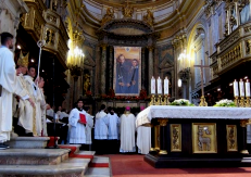 Saints Of 2014 saints-of-2014